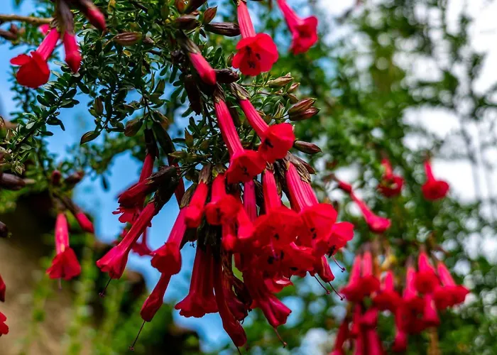 Tierra Inka Sacred Valley 3*